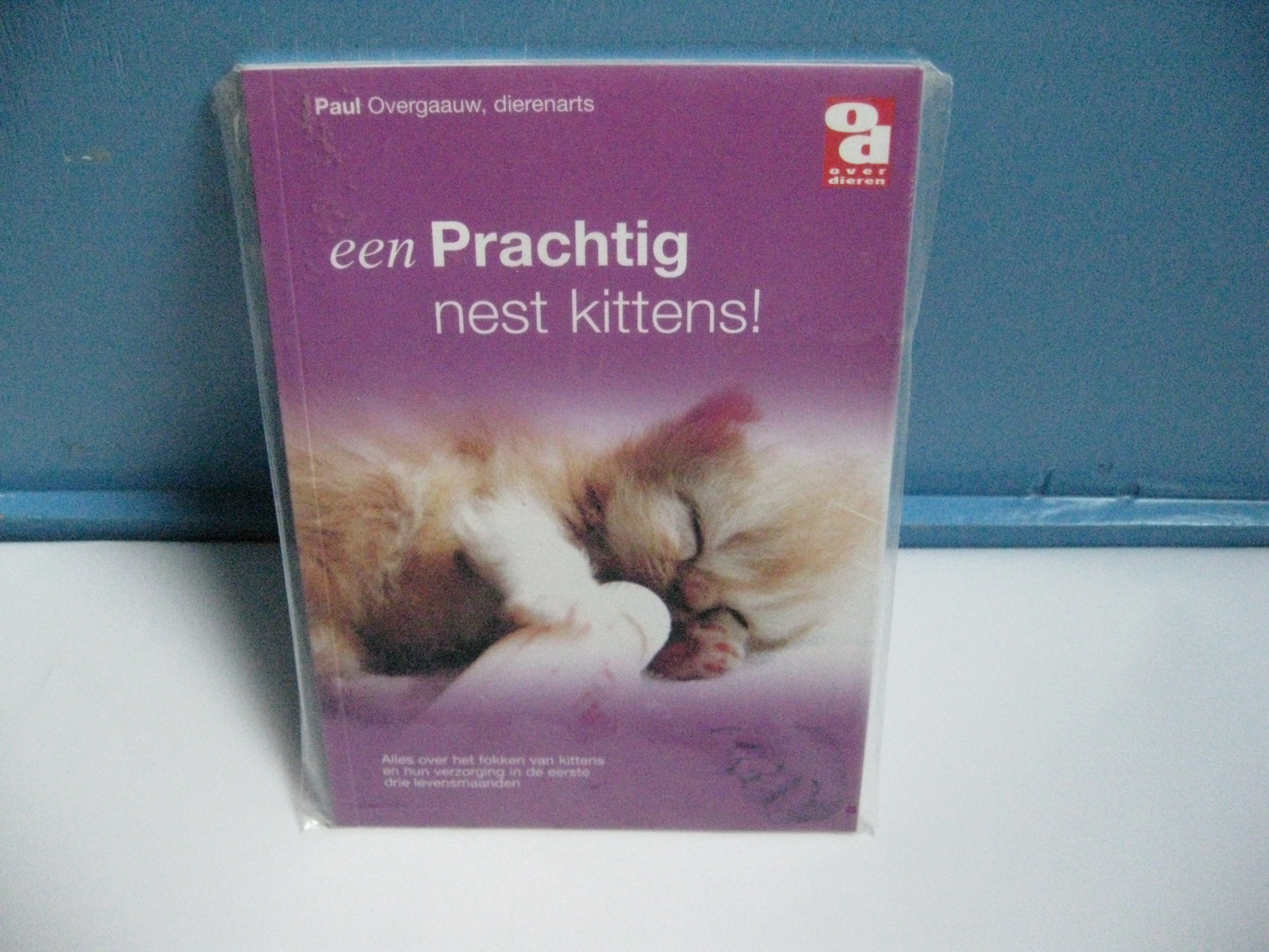 boek-kittens