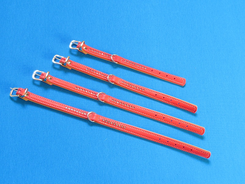 halsbandsteentjeschroomrood