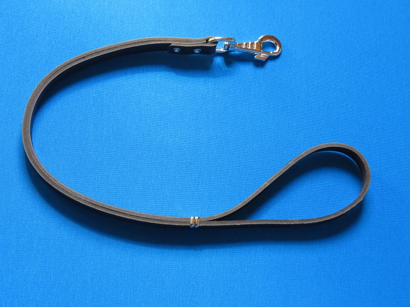 korthouderbruin