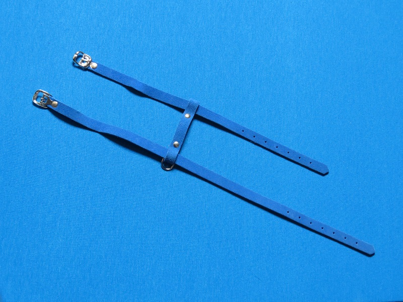 poezentuigblauw